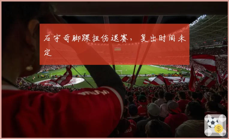石宇奇脚踝扭伤退赛,复出时间未定
