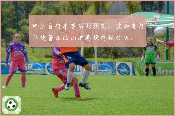 环法自行车赛黄衫预测：波加查与范德普尔的山地赛段终极对决。