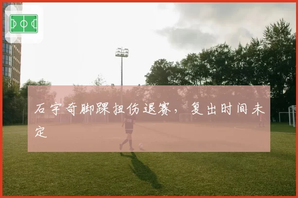 石宇奇脚踝扭伤退赛,复出时间未定